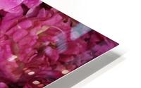 ROSE GARDEN   HD Metal print