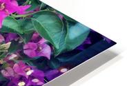 Purple Flowers    HD Metal print