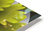 3D LEAF Blooms HD Metal print