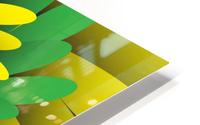 Digital Forest HD Metal print