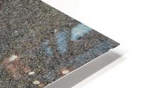 Shell in Sea Shore HD Metal print