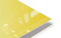 Lemon HD Metal print