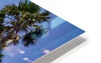 Palm Tree HD Metal print