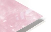 Cameo Pink HD Metal print