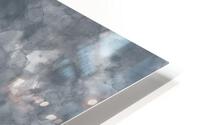 Black Coral HD Metal print