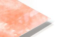 Coral Pink HD Metal print