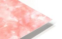 Salmon HD Metal print