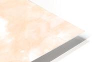 Peach HD Metal print
