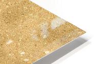 Sandal Glitter HD Metal print