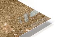 Dripping Tan Glitter HD Metal print