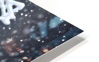 Delight Snowball HD Metal print