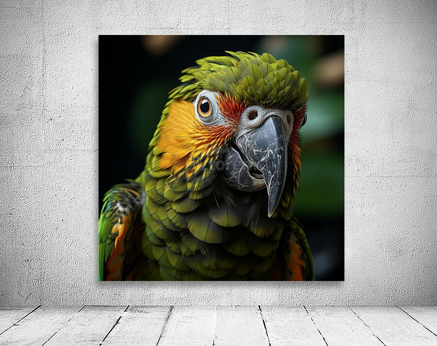 Beautiful Parrot Wall Preview