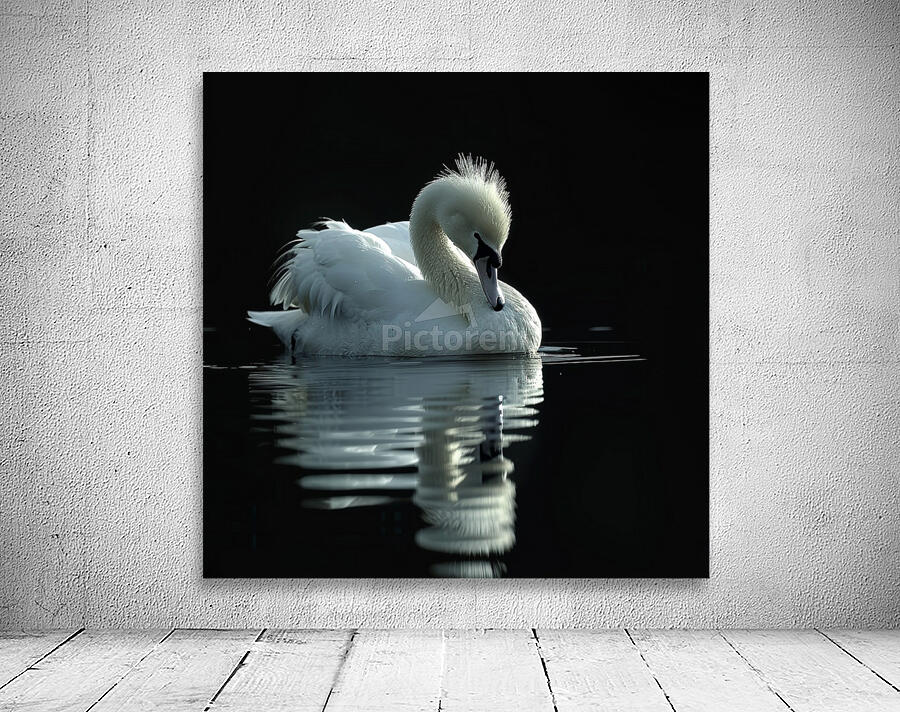 White Swan Wall Preview