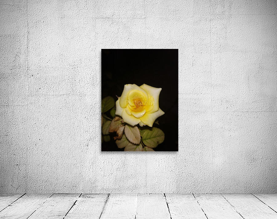 YELLOW ROSE Wall Preview