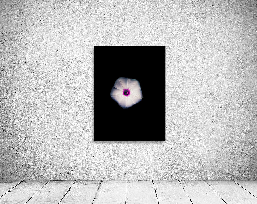 White Flora Wall Preview
