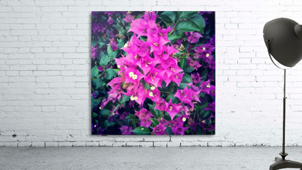 Purple Flowers    Wall Preview