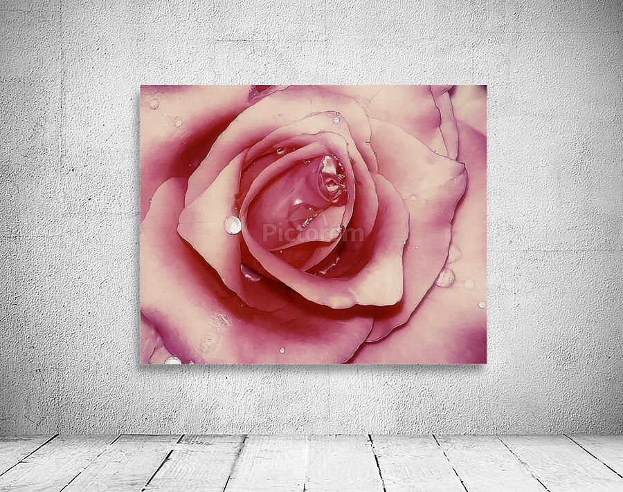 Satin Rose    Wall Preview