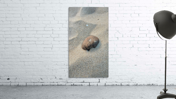 Coastal Shell Wall Preview