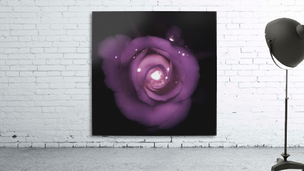 Sparkling Rose Wall Preview