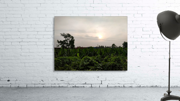 Never Ending Journey Wall Preview