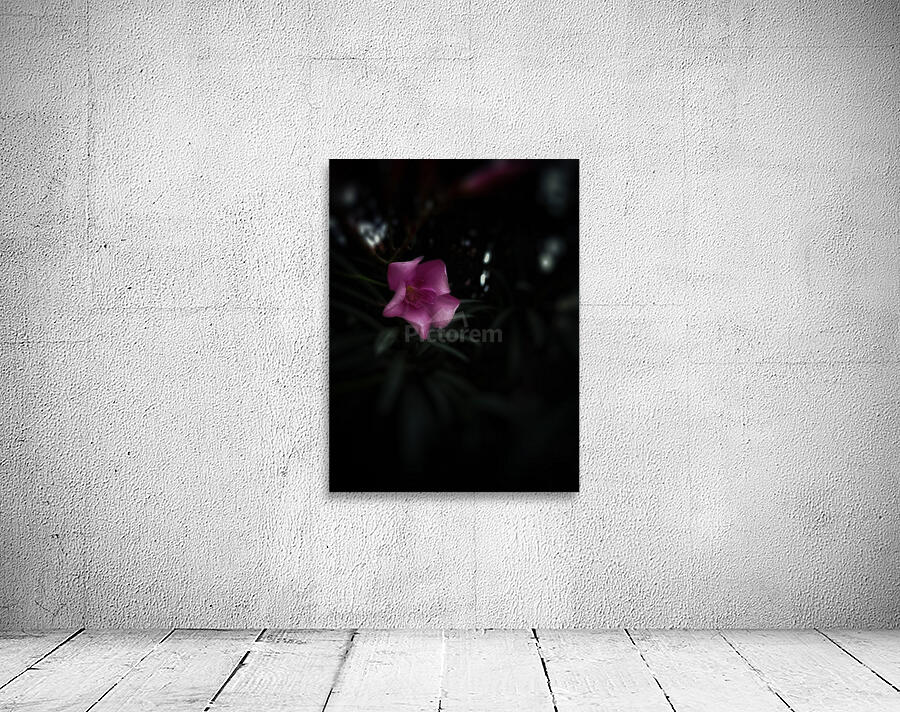 Pinky Flora Wall Preview
