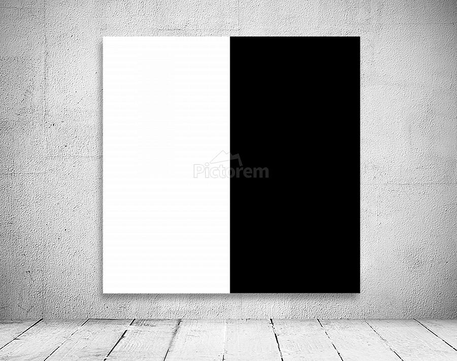 Plain Black and White Wall Preview