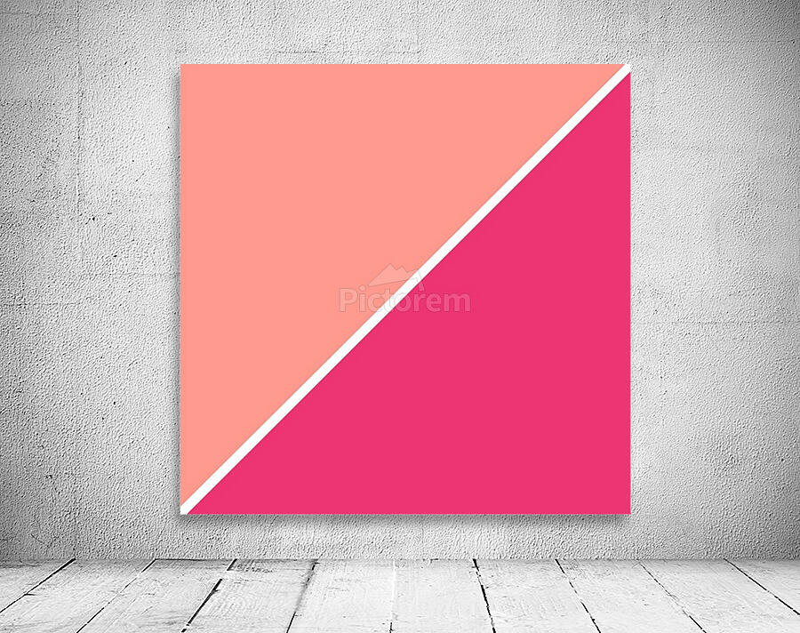 Salmon and Magenta Abstract Wall Preview
