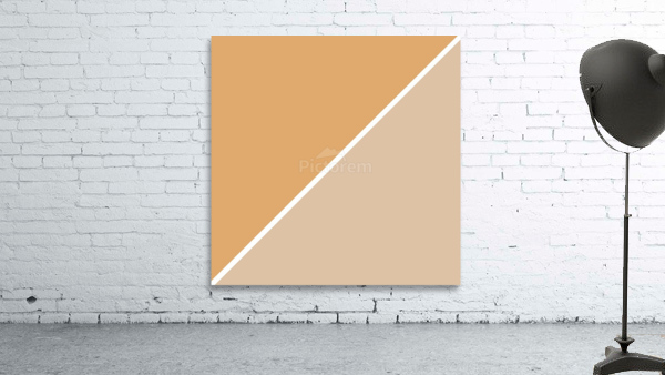 Tan and Beige Abstract Wall Preview