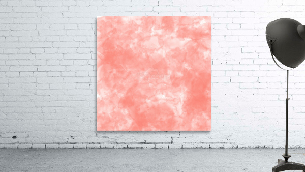 Salmon Wall Preview