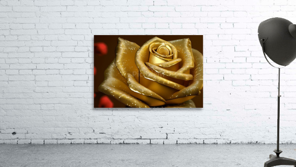 Gold Rose Art Wall Preview