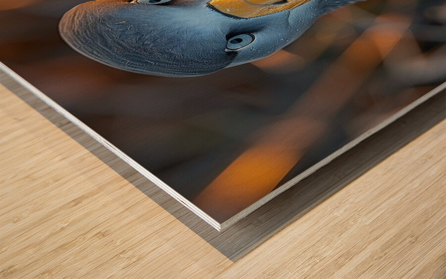 Albatross Bird Wood print