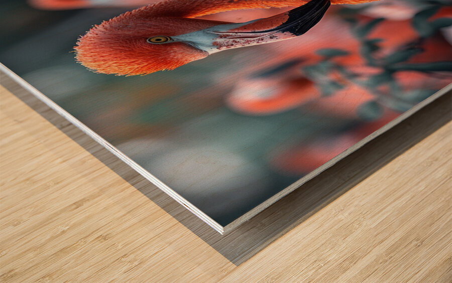 Flamingo Squad Wood print