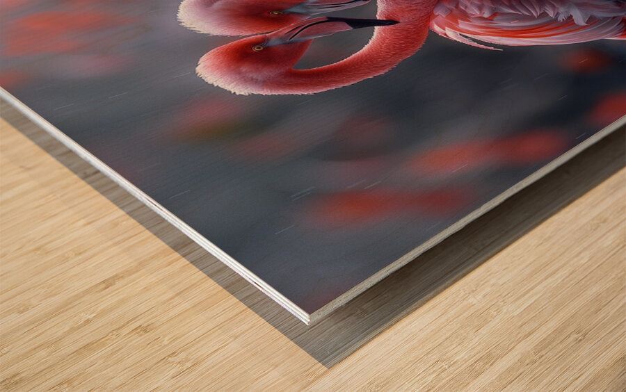 Eternal Love Flamingos Wood print