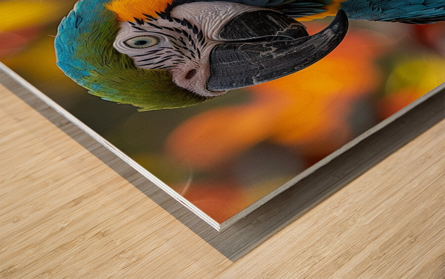 Breathtaking Macaw Wood print