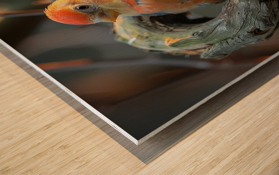 Soulful Bird Wood print