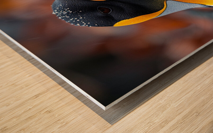 Southern Penguin Wood print