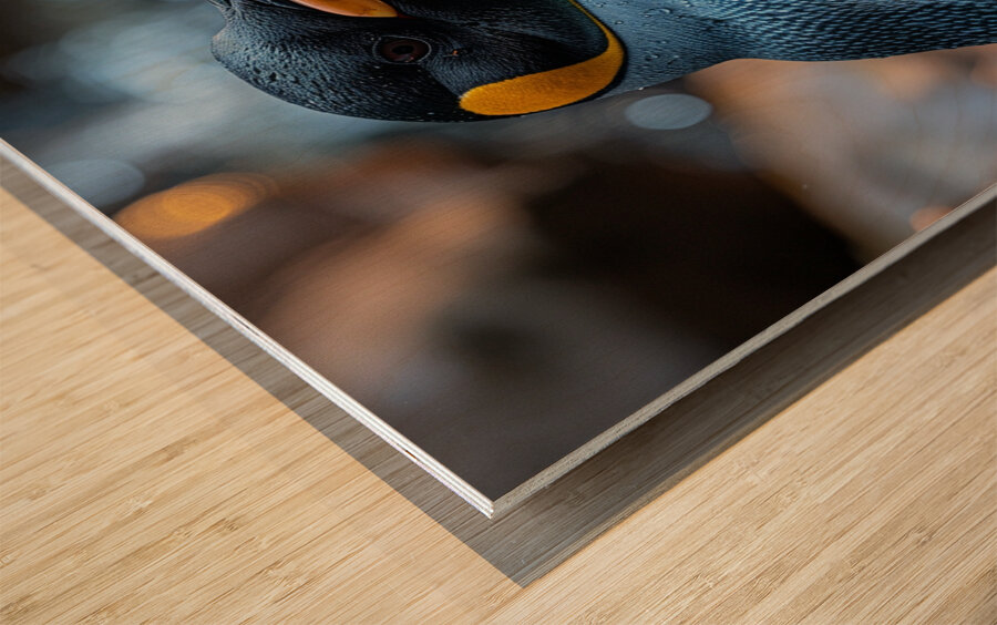 Cute Penguin Wood print