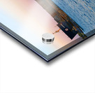 Algowood at Dusk 3 Acrylic print