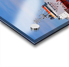 Jana Desgagnes 061320 Acrylic print