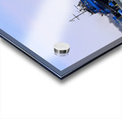 Spartan and Spartan II Acrylic print