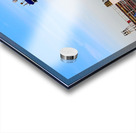 Wicky Spirit Detail 062622 Acrylic print