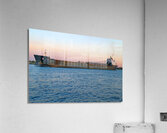 Algowood at Dusk 3 Acrylic Print