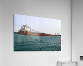 CSL Assiniboine 091717 Acrylic Print