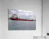 Salarium 1 Acrylic Print