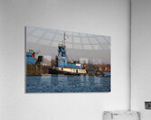 Sarah Andrie Detail 2 Acrylic Print