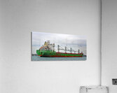 Wigeon Panorama 042520 Acrylic Print