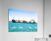 Algonova 1 Acrylic Print