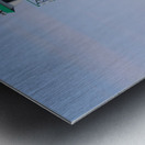 Samuel de Champlain Closeup 011818 Metal print