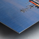 Jana Desgagnes 061320 Metal print