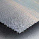 Meredith Ashton 102421 Metal print